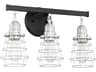 Craftmade Thatcher 3-Light Flat Black Brushed Polished Nickel Vanity Light