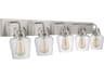 Craftmade Trystan 5-Light Brushed Polished Nickel Glass Vanity Light