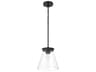 Craftmade Connell 1-Light Flat Black Mini Pendant