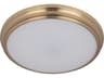 Craftmade X 1-Light Satin Brass Glass LED Round Flush Mount