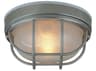 Craftmade Bulkhead 1 - Light Outdoor Ceiling Light