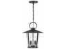 Crystorama Andover 4 - Light Outdoor Hanging Light with Clear Glass Shade