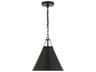 Crystorama Xavier 1-Light Matte Black Mini Pendant