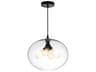 CWI Lighting Glass 4-Light Black Globe Pendant