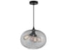 CWI Lighting Glass 4-Light Black Globe Pendant