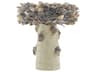 Currey & Company Oyster Shell Small Bird Bath