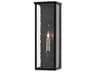 Currey & Company Tanzy 1 - Light Glass Outdoor Wall Light