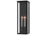 Currey & Company Tanzy 2 - Light Glass Outdoor Wall Light