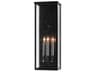 Currey & Company Tanzy 3 - Light Glass Outdoor Wall Light