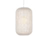 Currey & Company Cocoon 1-Light Cream Vanilla White Cylinder Globe Pendant