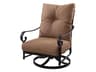Darlee Outdoor Living Santa Anita Cast Aluminum Antique Bronze Swivel Rocker Club Chair