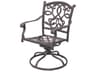 Darlee Outdoor Living Santa Monica Cast Aluminum Antique Bronze Swivel Rocker Chair