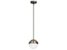 Dainolite Dayana 1-Light Antique Brass Globe Mini Pendant