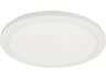 Dainolite Franchesa 1-Light Matte White Round Flush Mount