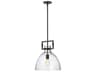 Dainolite Liberty 1-Light Matte Black Dome Pendant