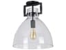 Dainolite Liberty 1-Light Matte Black Dome Semi Flush Mount