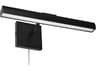 Dainolite Leonardo 2-Light Matte Black Picture Light