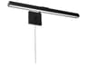 Dainolite Leonardo 3-Light Matte Black Picture Light