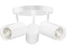 Dainolite Taylor 3-Light Matte White Cylinder Track & Rail Light