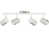 Dainolite Taylor 4-Light Matte White Cylinder Track & Rail Light