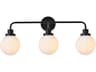 Elegant Lighting Hanson 3-Light Black And Frosted Shade Glass Vanity Light