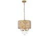 Elegant Lighting Elise 4-Light Brass Crystal Drum Chandelier