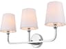 Elegant Lighting Colson 3-Light Chrome Brass Glass Vanity Light