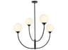 Elegant Lighting Nyomi 4-Light Black Globe Chandelier
