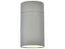 Elegant Lighting Raine Glass LED Outdoor Wall Light
