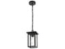 Elegant Lighting Venango 1-Light Outdoor Hanging Light