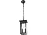 Elegant Lighting Venango 2-Light Outdoor Hanging Light