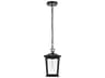 Elegant Lighting Cayman 1-Light Outdoor Hanging Light