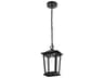 Elegant Lighting Berks 1-Light Outdoor Hanging Light