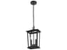 Elegant Lighting Berks 2-Light Outdoor Hanging Light