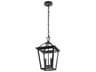Elegant Lighting Frankford 2-Light Outdoor Hanging Light