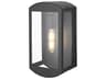 Elegant Lighting Miles 1-Light Outdoor Wall Light