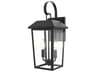Elegant Lighting Riggs 2-Light Outdoor Wall Light