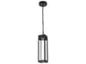 Elegant Lighting Amaris 1-Light Outdoor Hanging Light