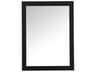 Elegant Lighting Aqua Black Rectangular Wall Mirror