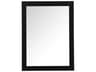 Elegant Lighting Aqua Black Rectangular Wall Mirror