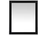 Elegant Lighting Aqua Black Rectangular Wall Mirror
