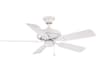 Fanimation Edgewood 44" Ceiling Fan