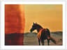 Four Hands Art Studio Horse by Coup D'esprit White Maple Canvas Wall Art