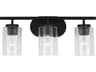 Generation Lighting Oslo 3-Light Midnight Black Glass Vanity Light