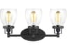 Generation Lighting Belton 3-Light Midnight Black Glass Vanity Light