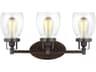 Generation Lighting Belton 3-Light Bronze Glass Vanity Light
