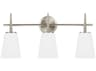 Generation Lighting Driscoll 3-Light Brushed Nickel Glass Vanity Light