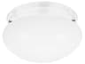 Generation Lighting Webster 2-Light White Glass Flush Mount
