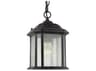 Generation Lighting Kent 1 - Light Outdoor Hanging Light