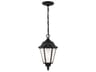 Generation Lighting Bakersville 1 - Light Outdoor Hanging Light